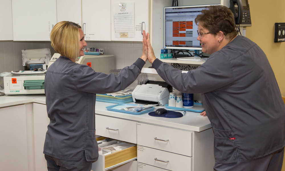 Progressive Dental staff giving high fives